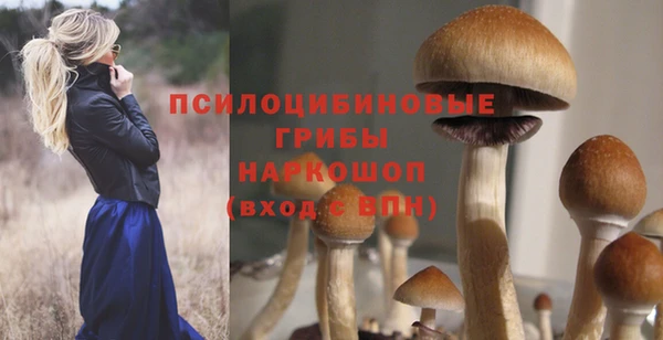 сатива Абдулино