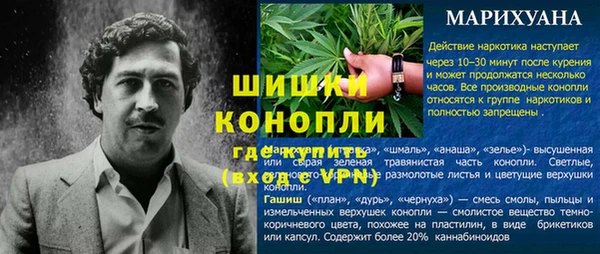 сатива Абдулино