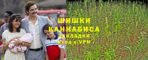 сатива Абдулино