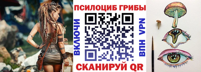 Псилоцибиновые грибы MAGIC MUSHROOMS  гидра tor  Каменка 