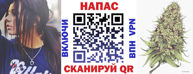 где купить наркоту  Каменка  Шишки марихуана OG Kush 